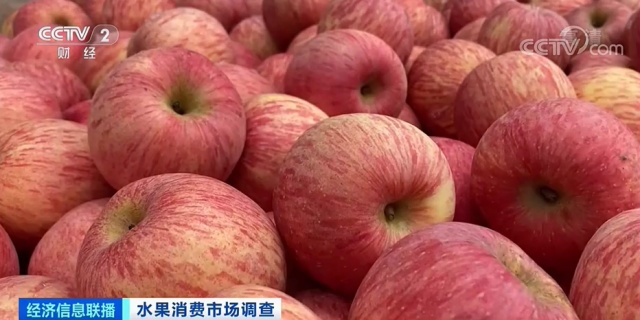 元月三日苹果行情新闻今年苹果行情和价格行情